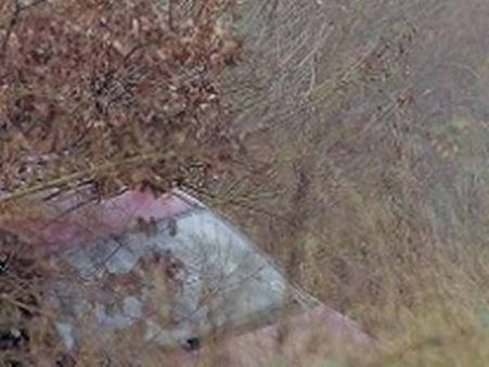 સુર્રે, ઇંગ્લેન્ડનું ઘોસ્ટ ક્રેશ