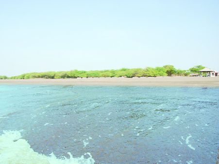 દરિયા કિનારા પર શાંતિનો અનુભવ દરિયા કિનારા પર શાંતિનો અનુભવ