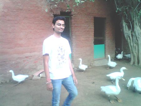 પીકનીક પ્લેસ
