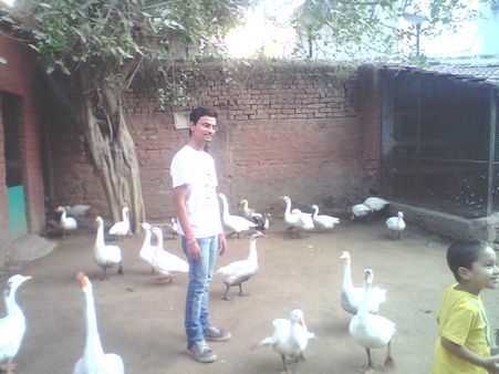 સ્વર્ગ જેવો અનુભવ