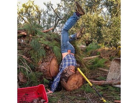 આ પ્રકારની ફોટોગ્રાફી મુશ્કેલ છે