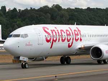 સુરતઃ રનવે પર ભેંસ સ્પાઇસ જેટના વિમાન સાથે અથડાઇ