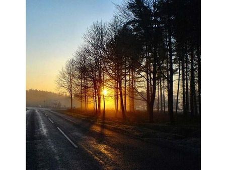 Sunrise On Cannock Chase 