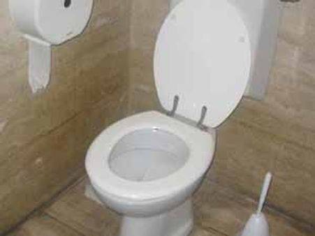 ગુજરાતઃ ઘરે શૌચાલય હશે તો જ લડી શકાશે સ્થાનિક સ્વરાજની ચૂંટણી