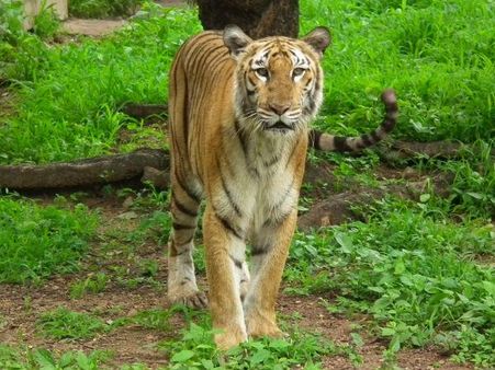 જો હૈદરાબાદ જશો, તો તમે ફરવા ક્યાં જશો?!