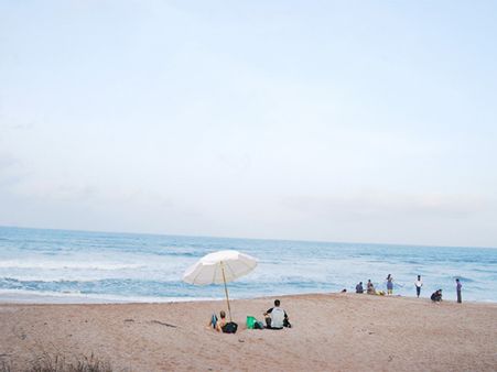 સિંહોની ત્રાડ