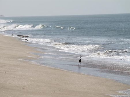 મંદીર ઉત્તમ શિલ્પખચિત