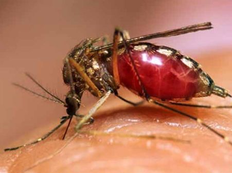 નવેમ્બર 18, 2014 : ગુજરાત ન્યૂઝ અપડેટ્સ