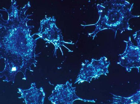  કેંસર કંટ્રોલિંગ જીન 