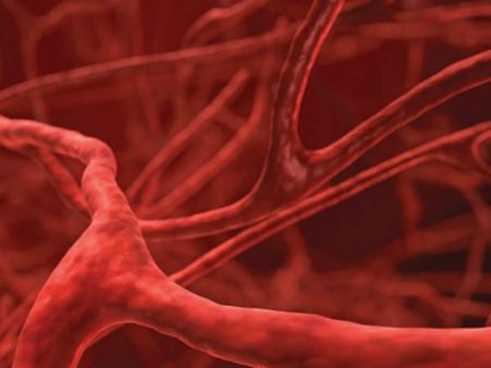 આર્ટીફીશિયલ બ્લડ સપ્લાઇ 