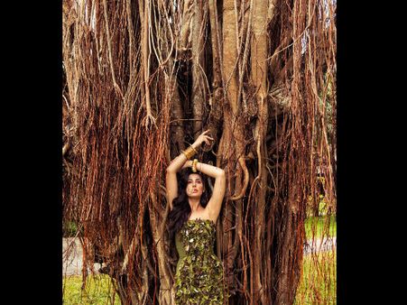 ભારતીય સાથે લગ્ન વિશે