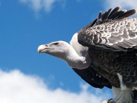 અરૂણાચલ પ્રદેશને નિહાળો એક્સક્લુસિવ તસવીરોમાં...