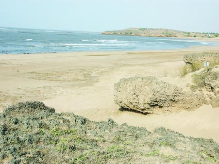 જૂનાગઢના સાર્ખેશ્વર બીચની રમણીય તસવીરો