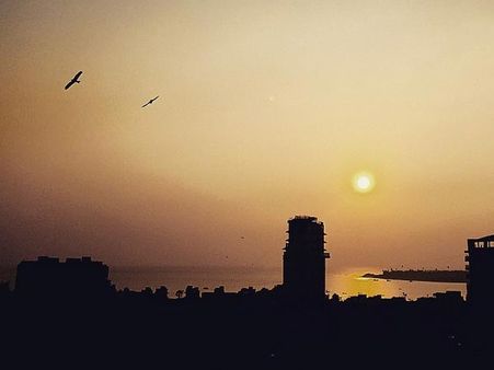 શાહિદ કપૂર