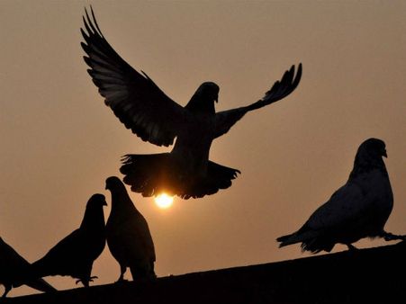 2015માં રજાઓ પર લાગશે નહી ગ્રહણ, હરો-ફરો અને જલસા કરો