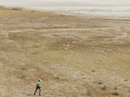 અલ્ટ્રાટેઈલ ફૂટ રેસ 