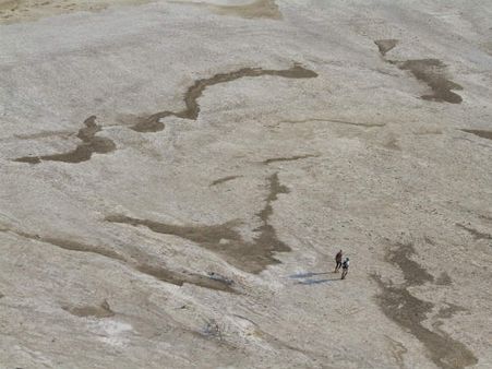 રન ફોર પેશન 