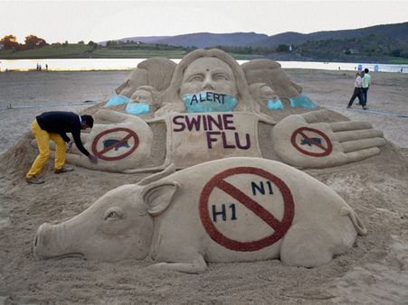 શું ખરેખર સ્વાઇન ફલૂ ખતરનાક મહામારી છે કે પછી તેની દવાના વેચાણ માટે ખોટો હાઉ ઊભો કરાયો છે?