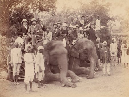 હાથીની સફારી 
