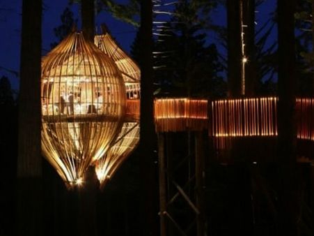 રેડવૂડ ટ્રિહાઉસ, ન્યૂઝિલેન્ડ