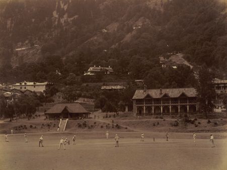 ક્રિકેટ ક્રિકેટ