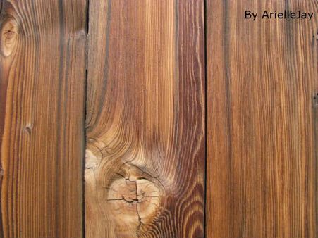 લાકડાના પાટીયા પર માણસ