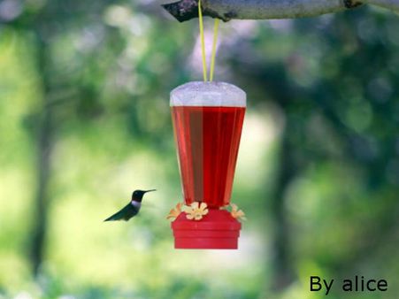 મહેનતુ પંખી