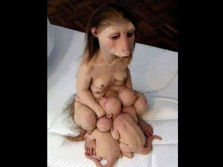 અફવા પર વધારે વિશ્વાસ કરવો નહીં