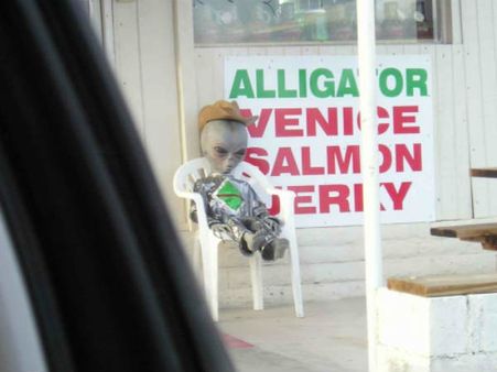 મહારાષ્ટ્રમાં દેખાયું વિચિત્ર જાનવર