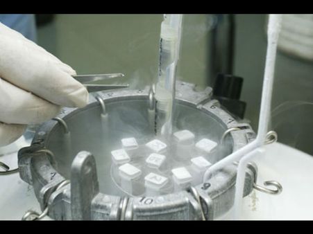 લાંબી પ્રક્રિયા