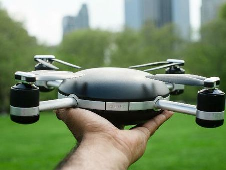 Video: મળો લિલીને જે હંમેશા રહેશે આપની સાથે!