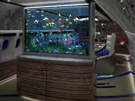 વિમાન નહીં મહેલ