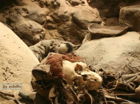 કાલી પૂજા