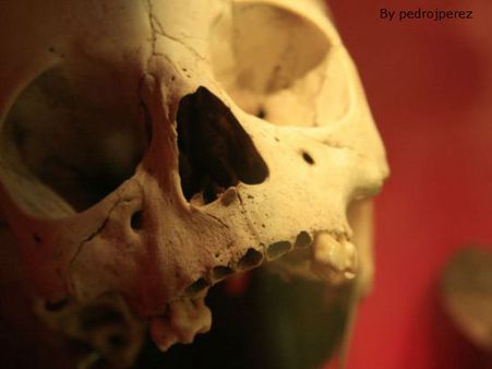 શબ પર બેસી સાધના