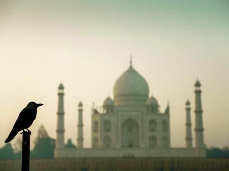 તાજમહેલ