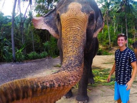 OMG! આ 'સેલ્ફી' નહીં 'એલ્ફી' છે જેને હાથીએ લીધી છે!