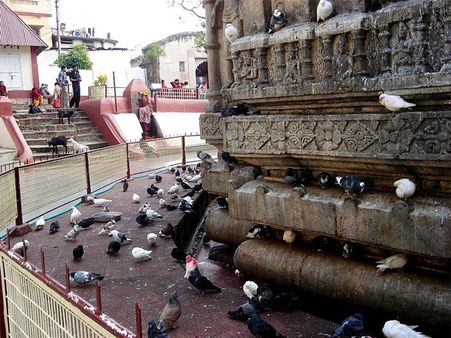 કામાખ્યા દેવી મંદિર