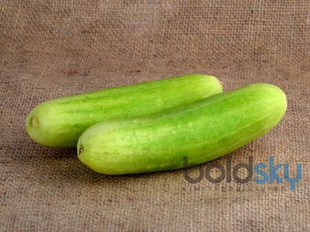 કાકડીનો જ્યૂસ