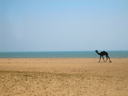 દરિયાઈ સરહદે બોટને અકસ્માત 
