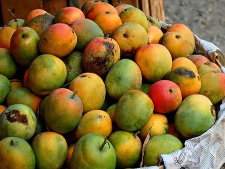 રેસેદાર ખાદ્ય