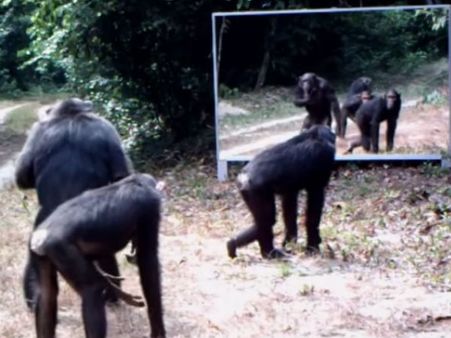 હસી હસીને લોટ-પોટ થઇ જશો આ વીડિયો જોઇને