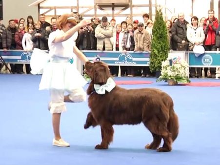 Video: આમનો ડાંસ કરતા જોઇ આપ બોલી ઊઠશો 'વાહ ભાઇ વાહ'