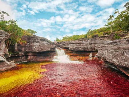 કૈન ક્રિસ્ટલ્સ રીવર, કોલંબિયા 