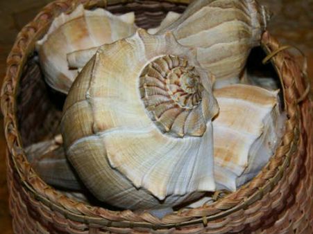 જીવાણુઓ મરી જાય છે