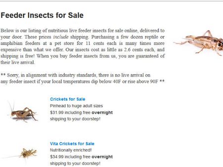 તીડ, વંદા 