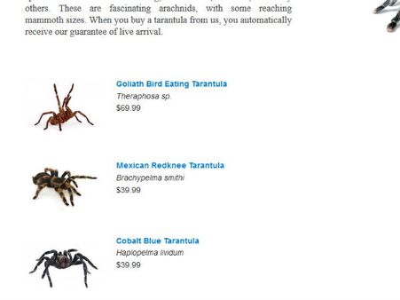 કરોળિયો 