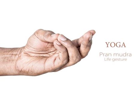 આ આસન ઇમ્યૂનિટી વધારે છે 