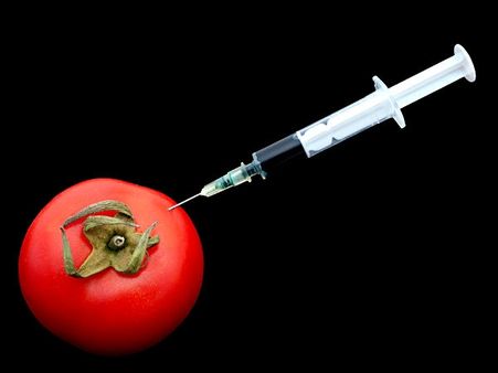 કેવી રીતે પકડશો ખાદ્ય પદાર્થની ભેળસેળને?