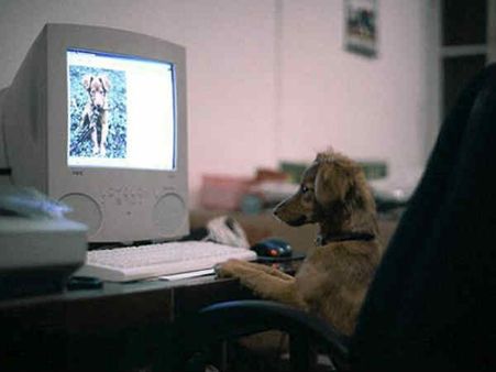 કંઇ પ્રોફાઇલ પિક મૂકું?