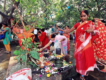 જાણો ભારતમાં લોકો વૃક્ષોની પૂજા શા માટે કરે છે?